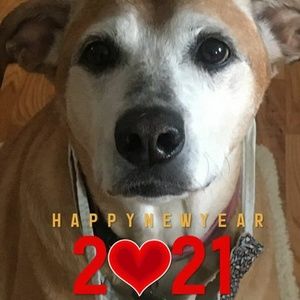 Meet your Posher, Joyce